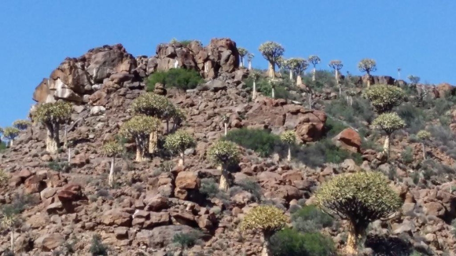 0 Bedroom Property for Sale in Calvinia Rural Northern Cape